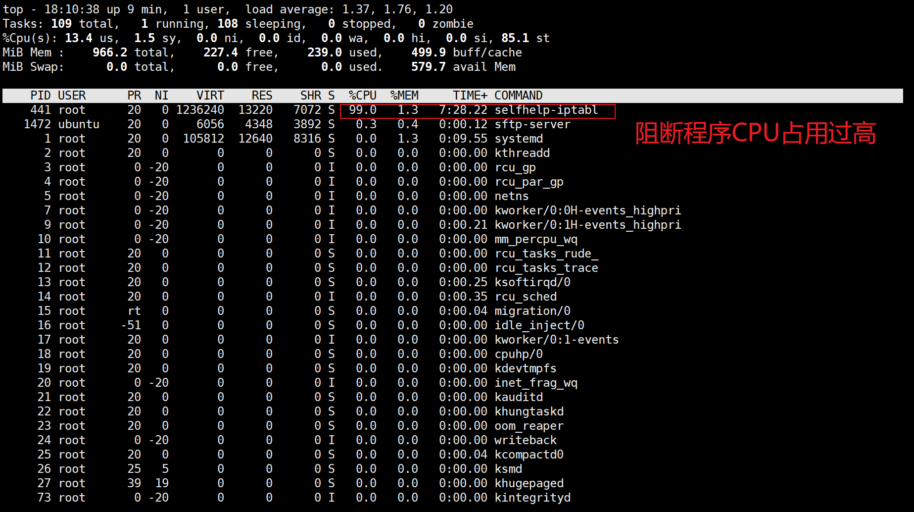 1.webp